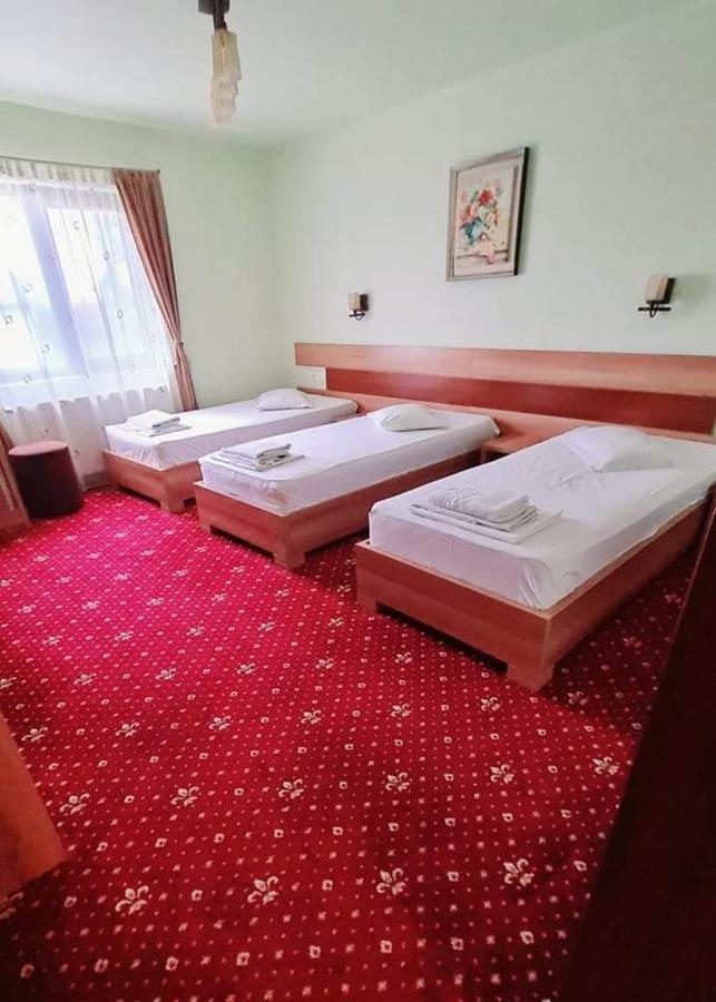 Motel Cool Barcanesti Номер фото